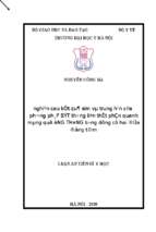 Nghiên cứu kết quả sớm và trung hạn của phương pháp bít thông liên thất phần quanh màng qua ống thông bằng dụng cụ hai đĩa đồng tâm