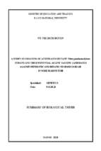 Nghiên cứu tạo chủng vi khuẩn vibrio parahaemolyticus đột biến giảm độc lực nhằm phát triển vắc xin phòng bệnh hoại tử gan thận trên một số loài cá biển tt tiếng anh