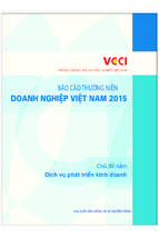 Báo cáo thường niên doanh nghiệp việt nam 2015 – dịch vụ phát triển kinh doanh