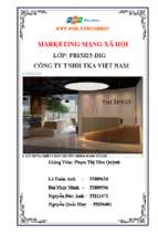 Tiểu luận môn marketing mạng xã hội xây dựng chiến lược truyền thông mạng xã hội cho công ty tnhh tka việt nam