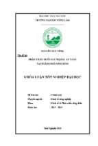 Phân tích chuỗi giá trị rau an toàn tại thành phố ninh bình