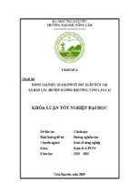 đánh giá hiệu quả kinh tế sản xuất dứa tại xã bản lầu, huyện mường khương, tỉnh lào cai