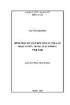 Hình phạt bổ sung đối với các tội xâm phạm sở hữu trong luật hình sự việt nam