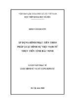 áp dụng hình phạt tiền theo pháp luật hình sự việt nam từ thực tiễn tỉnh bắc ninh