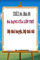 đa dạng của lớp thú bộ thú huyệt  bộ thú túi.ppt