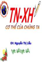 Cơ thể của chúng ta.ppt