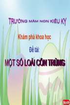 Slide bài giảng một số loại côn trùng.ppt