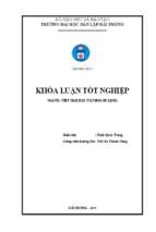 Thực trạng kinh doanh du lịch và những giải pháp nhằm nâng cao chất lượng của hệ thống khách sạn, nhà nghỉ ở cát bà