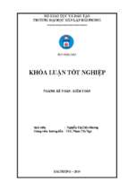 Hoàn thiện công tác kế toán hàng hóa tại công ty tnhh thương mại ngọc hiếu