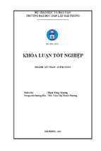 Hoàn thiện công tác kế toán thanh toán với người mua, người bán tại công ty tnhh việt trường