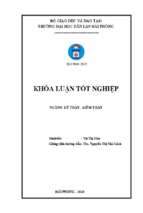 Hoàn thiện công tác kế toán doanh thu, chi phí và xác định kết quả kinh doanh tại công ty tnhh sản xuất và dịch vụ thương mại quốc tế nasi