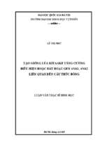 Tạo giống lúa kitaake tăng cường biểu hiện hoặc bất hoạt gen ank1, ank2 liên quan đến cấu trúc bông​