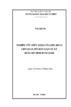 Nghiên cứu chức năng của gen abcc4 liên quan đến rối loạn tự kỷ bằng mô hình ruồi giấm​