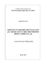 Thiết kế vector biểu hiện mang gen scfv kháng cd47 và biểu hiện protein trong vi khuẩn e. coli​