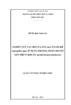Nghiên cứu vai trò của gen stua ở nấm sợi aspergillus niger sử dụng phương pháp chuyển gen nhờ vi khuẩn agrobacterium tumefaciens​
