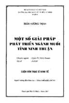 Một số giải pháp phát triển ngành muối tỉnh ninh thuận