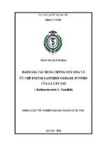 đánh giá tác dụng chống oxy hóa và ức chế enzym xanthine oxidase in vitro của lá cây gai (boehmeria nivea l. gaudich)