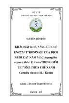 Khảo sát khả năng ức chế enzym tyrosinase của dịch nuôi cấy nấm mốc aspergillus oryzae (ahlb.) e. cohn trong môi trường chứa chè xanh camellia sinensis (l.) kuntze