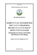 Nghiên cứu đặc điểm hình thái thực vật và thành phần hóa học của lá cây bao tử trồng ở tỉnh nam định [murdannia bracteata (c.b.clarke) j.k.morton ex d.y.hong]