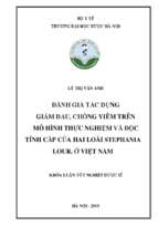 đánh giá tác dụng giảm đau, chống viêm trên mô hình thực nghiệm và độc tính cấp của hai loài stephania lour. ở việt nam