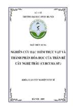 Nghiên cứu đặc điểm thực vật và thành phần hóa học của thân rễ cây nghệ trâu (curcuma sp.)