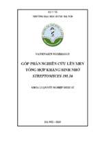 Góp phần nghiên cứu lên men tổng hợp kháng sinh nhờ streptomyces 191.16