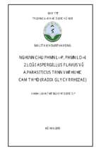 Nghiên cứu phân lập, phân loại 2 loài aspergillus flavus và a.parasiticus trên vị thuốc cam thảo (radix glycyrrhizae)