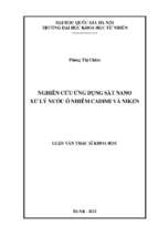 Nghiên cứu ứng dụng sắt nano xử lý nước ô nhiễm cadimi và niken   môi trường và bảo vệ môi trường