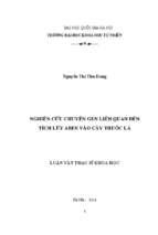 Nghiên cứu chuyển gen liên quan đến tích lũy asen vào cây thuốc lá