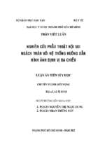 Nghiên cứu phẫu thuật nội soi ngách trán với hệ thống hướng dẫn hình ảnh định vị ba chiều 