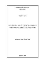 Quyền của người chưa thành niên theo pháp luật dân sự việt nam