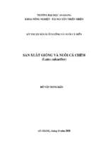 Luận văn kỹ thuật sản xuất giống và nuôi cá biển sản xuất giống và nuôi cá chẽm (lates calcarifer)