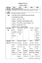 Tuần 3 cơ thể  bé