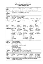 Tuần 31 bé cùng vui chơi