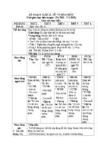 Tết và mùa xuân