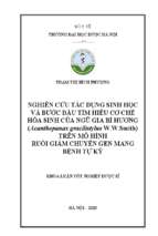 Nghiên cứu tác dụng sinh học và bước đầu tìm hiểu cơ chế hóa sinh của ngũ gia bì hương ( acanthopanax gracilistylus w.w. smith) trên mô hình ruồi giấm chuyển gen mang bệnh tự kỷ