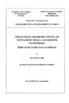 Innovation and productivity of smes in vietnam   firm level panel data evidence