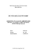 ảnh hưởng của loại gốc ghép đến sinh trưởng cây giống cà phê vối trong vườn ươm tại gia lai