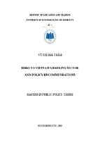 Risks to vietnam's banking sector and policy recommendations