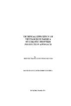 Technical efficiency of vietnam rice farms a stochastic frontier production approach