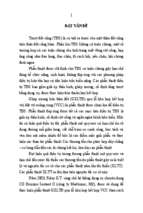 Nghiên cứu điều trị trượt đốt sống đoạn thắt lưng–cùng một tầng bằng phẫu thuật vít cuống cung qua da và ghép xương liên thân đốt tt