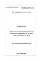 Nghiên cứu, thu nhận protein từ sinh khối rong nước lợ (chaetomorpha sp.) để ứng dụng trong công nghiệp thực phẩm.