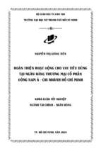 Hoàn thiện hoạt động cho vay tiêu dùng tại ngân hàng thương mại cổ phần đông nam á chi nhánh hồ chí minh