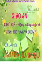 Slide bài giảng thơ ong và bướm.ppt