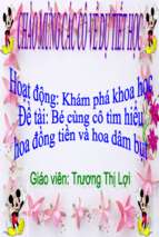 Slide bài giảng hoa đồng tiền và hoa dâm bụt.ppt