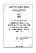 Tìm hiểu kỹ thuật lai huỳnh quang tại chỗ fish (florescence in situ hybridization) trên vi sinh vật