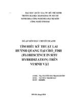 Tìm hiểu kỹ thuật lai huỳnh quang tại chỗ fish (florescence in situ hybridization) trên vi sinh vật