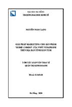 Giải pháp marketing cho sản phẩm home combo của vnpt vinaphone trên địa bàn tỉnh kon tum