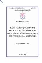 đánh giá kết quả điều trị nút mạch dị dạng động tĩnh mạch não đã vỡ bằng dung dịch kết tủa không ái nước (phil)