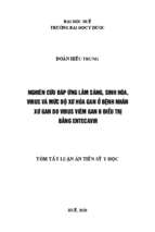 Nghiên cứu đáp ứng lâm sàng, sinh hoá, virus và mức độ xơ hoá gan ở bệnh nhân xơ gan do virus viêm gan b điều trị bằng entecavir tt